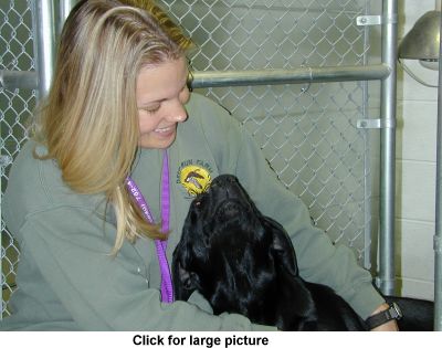 Brandy comforting a mother