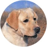 fiona