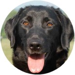 tutti