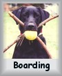 Boarding