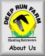 About Deep Run Farm