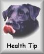 Health Tip