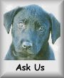 Request Information