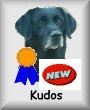 Kudos