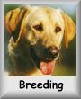 Breeding