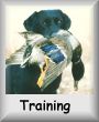 Training
